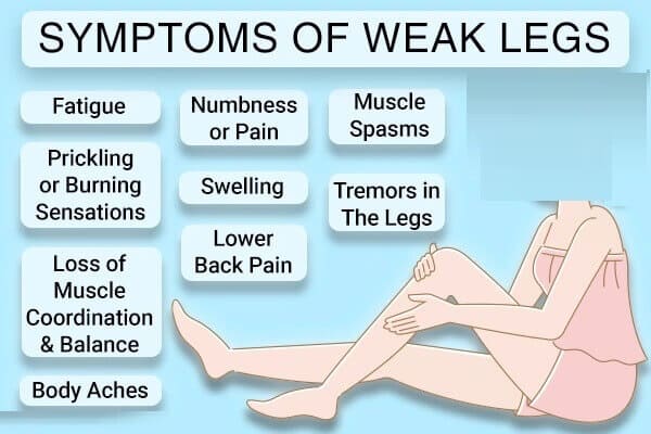 What Causes Weakness In The Legs And How To Strengthen Them The Best Home