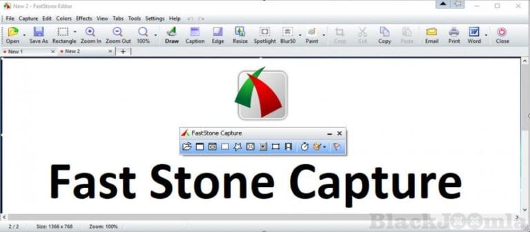 Faststone capture где хранятся временные файлы