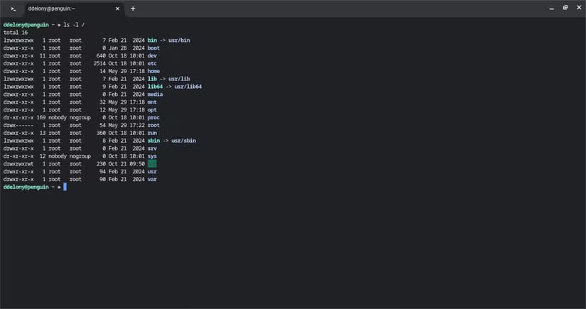 تطور محطات Unix: من التليتايب إلى النوافذ الحديثة - %categories