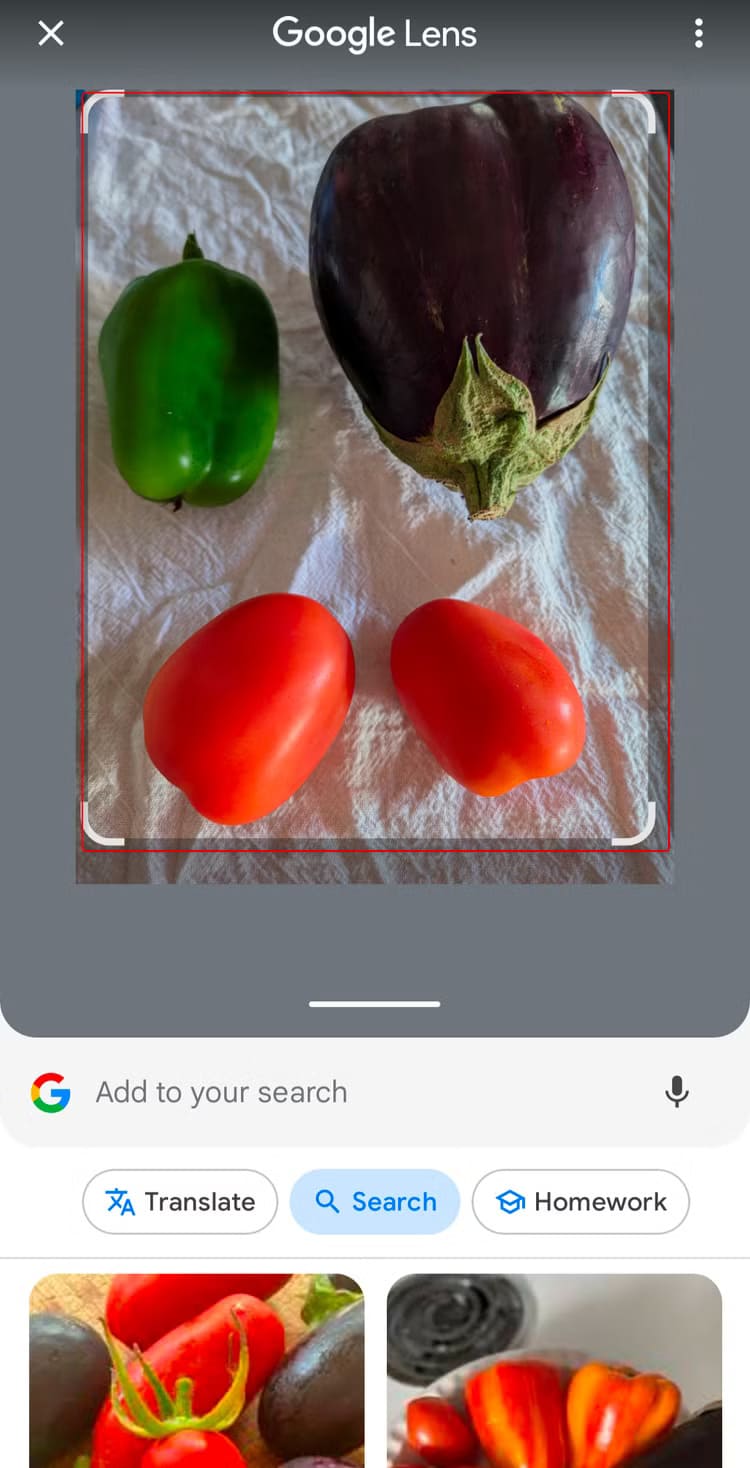 أفكار ممتعة ومفيدة لاستخدام Google Lens في حياتك اليومية - %categories