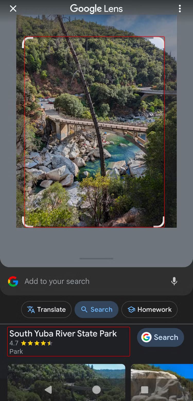 أفكار ممتعة ومفيدة لاستخدام Google Lens في حياتك اليومية - %categories