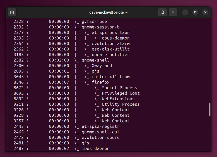 إدارة عمليات Linux بسهولة باستخدام ps وkill وpkill - %categories