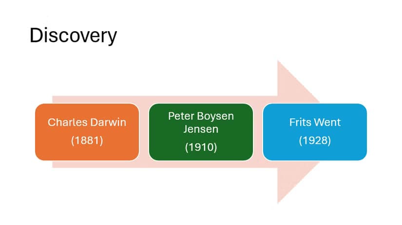 طرق إبداعية للاستفادة من PowerPoint في حياتك اليومية - %categories