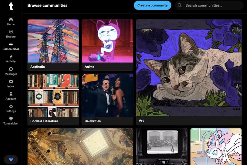 دليل شامل لفهم مجتمعات Tumblr والتفاعل معها - %categories