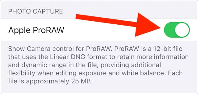 متى يكون التصوير بصيغة ProRAW على iPhone هو الخيار الأمثل؟ - %categories