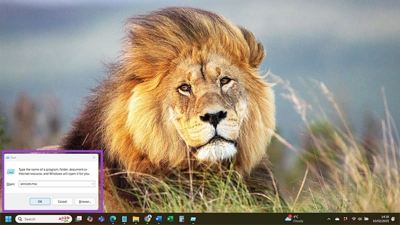 Windows-11-Not-Recognizing-Printer-4 كيف تُصلح مشكلة عدم تعرف Windows 11 على الطابعة بخطوات بسيطة