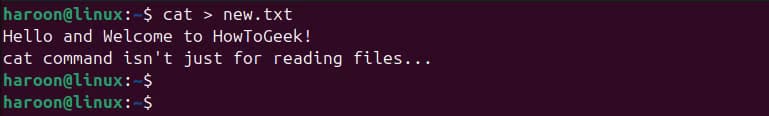 inserting-text-to-a-newly-created-files-on-the-go-using-the-cat-command كيفية إنشاء ملفات بسهولة من خلال محطة طرفية Linux