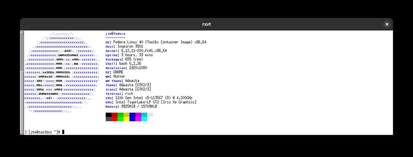 rxvt-terminal-showing-neofetch-output أهم الأسباب وراء تنوع محاكيات الطرفية في نظام Linux