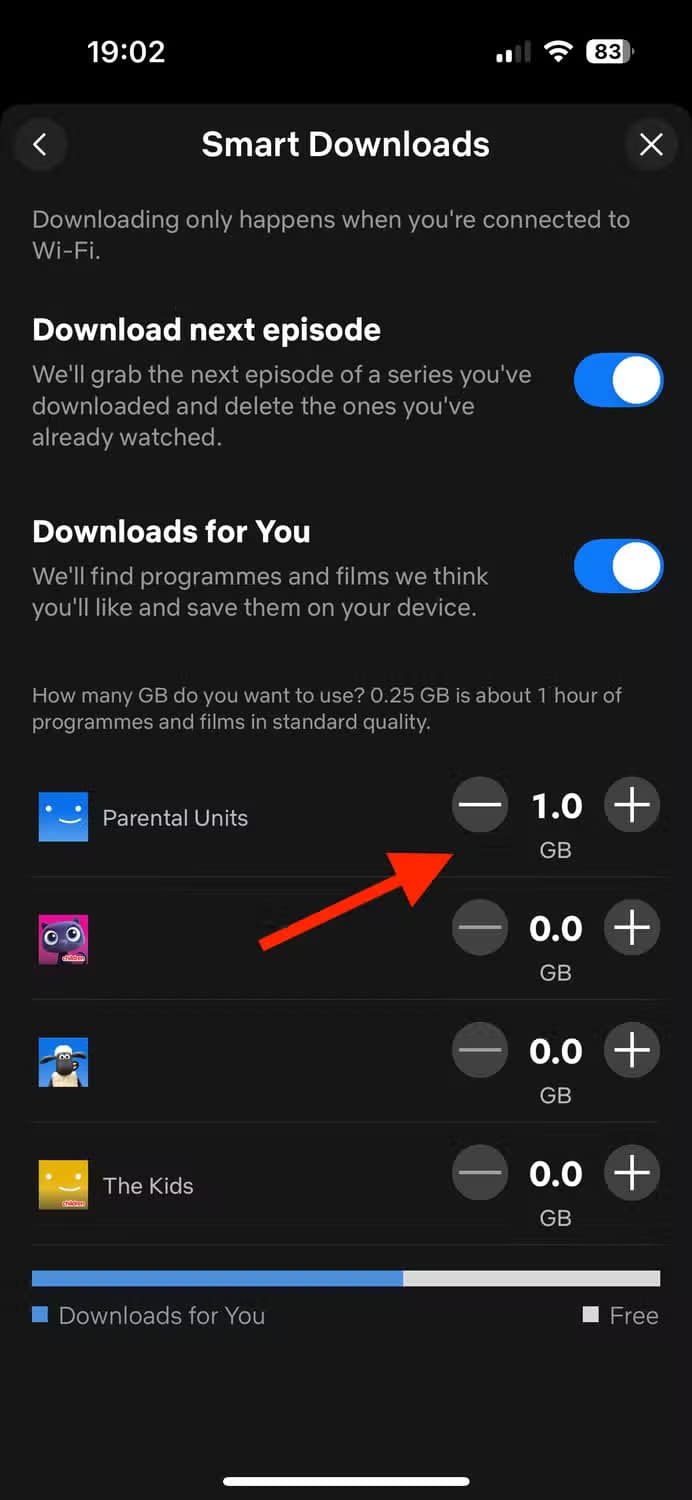 storage-allocation-for-smart-downloads-in-the-netflix-app-on-iphone ميزات خفية في Netflix تمنحك تجربة مشاهدة أفضل