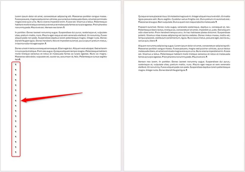 a-word-document-with-two-pages-separated-by-several-paragraph-markers كيف تستخدم فواصل الصفحات والأقسام في Word لإنشاء مستندات أكثر تنظيماً واحترافية